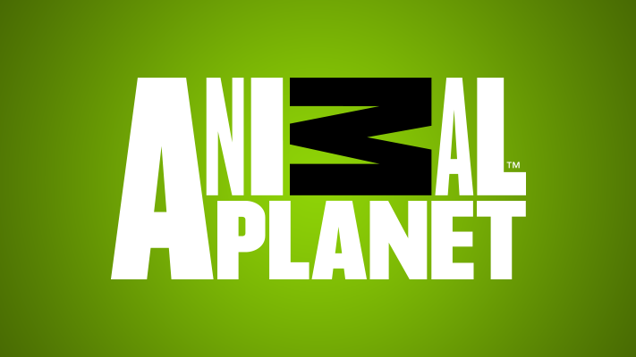 Watch Animal Planet Channel Online Streaming